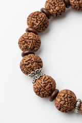 Close-up of natural rudraksha beads on Rudra Stone Bracelet showing detailed surface texture