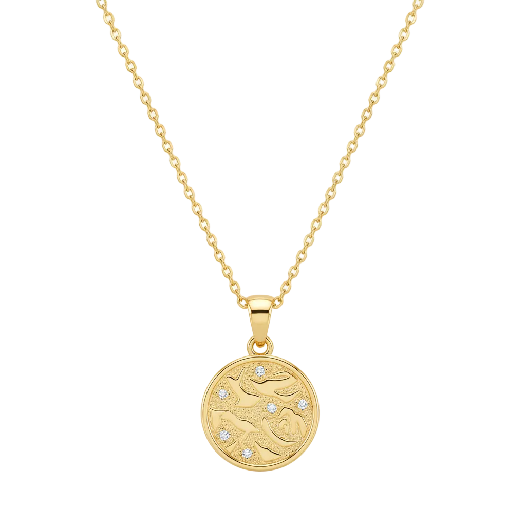Le Étoile Coin Necklace - Transparent Background