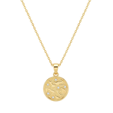 Le Étoile Coin Necklace - Transparent Background
